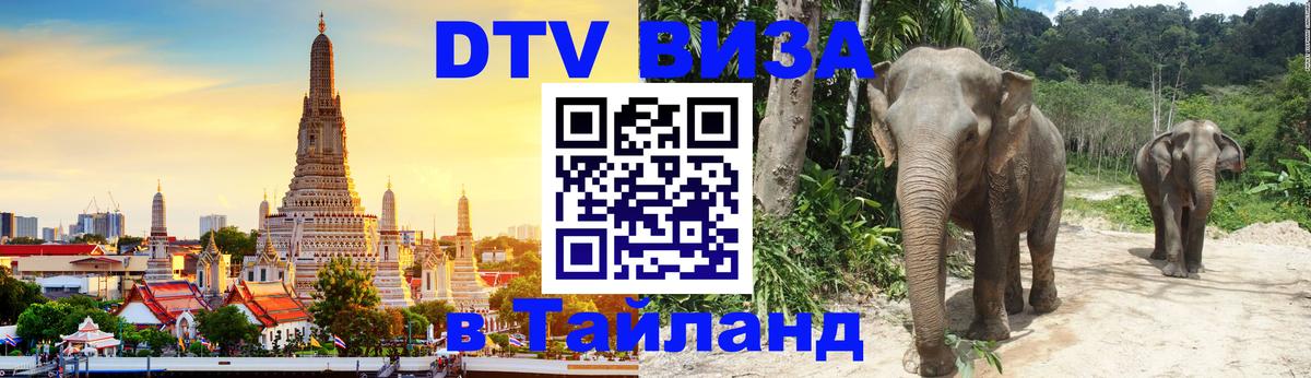 Оформление DTV визы под ключ: стоимость и тарифы, только загранпаспорт - Череповец  18.11.2025 